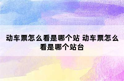 动车票怎么看是哪个站 动车票怎么看是哪个站台